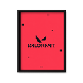 The Valorant Protocol
