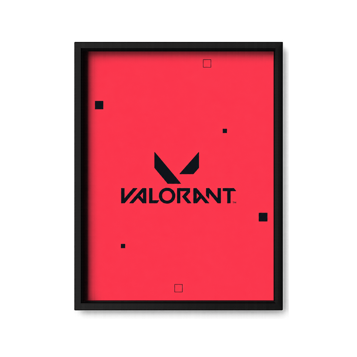 The Valorant Protocol