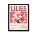Lily Serenity